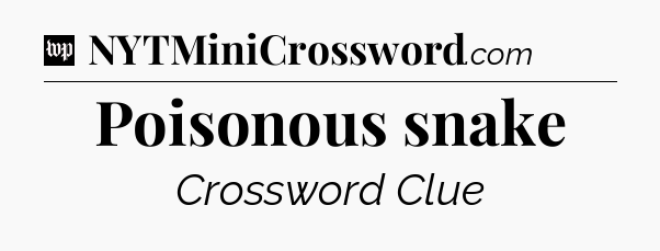 Poisonous snake Crossword Clue