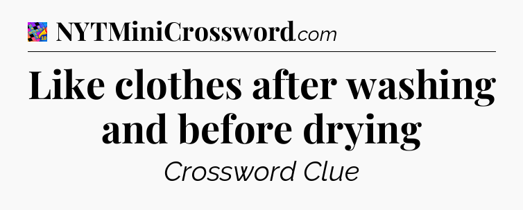 Like clothes after washing and before drying Crossword Clue