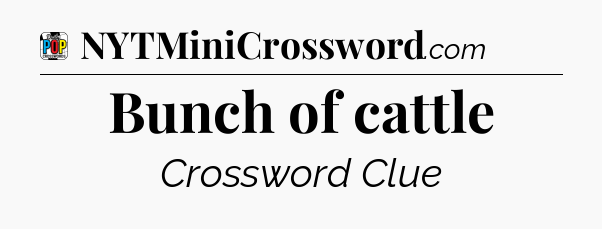 Bunch of cattle Crossword Clue