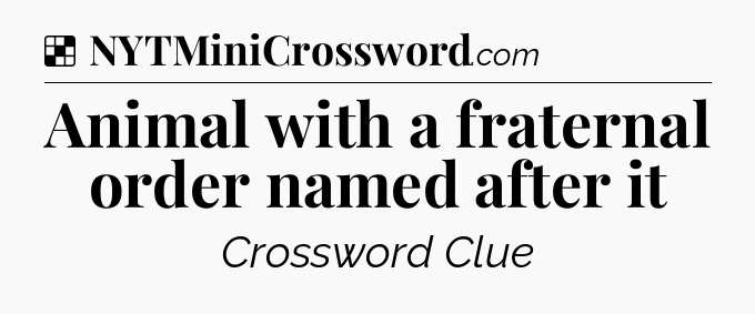 Solution: Animal with a fraternal order named after it - NYT Crossword