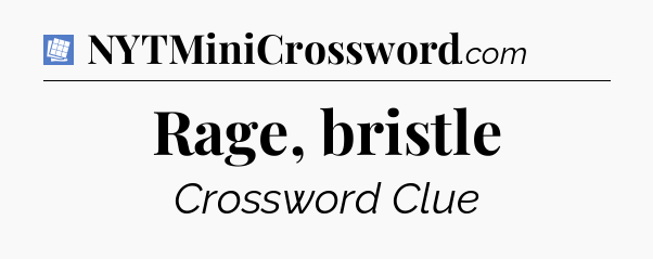 Rage, bristle Puzzle Page Crossword Clue