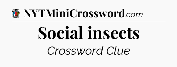 Social insects Crossword Clue