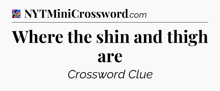 Where the shin and thigh are Crossword Clue