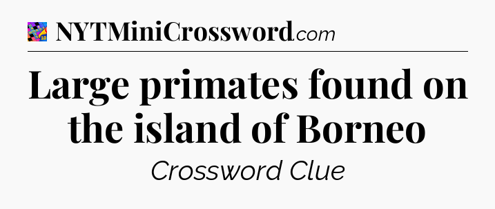 Large primates found on the island of Borneo Crossword Clue