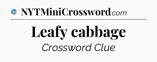 Leafy cabbage Crossword Clue