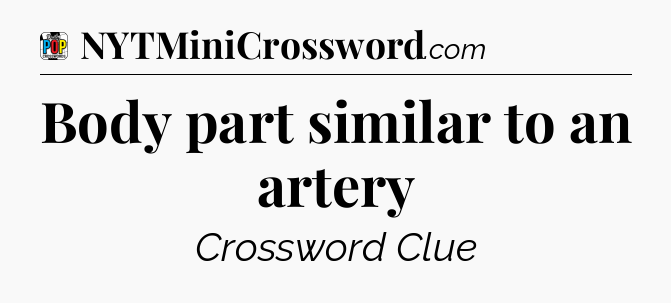 Body part similar to an artery Crossword Clue