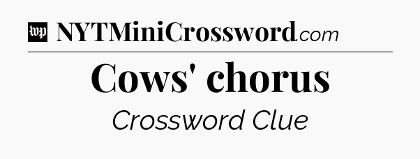 Cows' chorus Crossword Clue