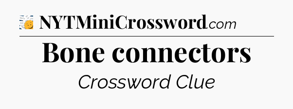 Bone connectors - 7 Little Words