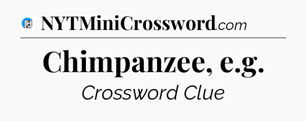 Chimpanzee, e.g Crossword Clue