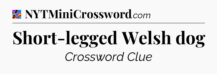 Short-legged Welsh dog Crossword Clue