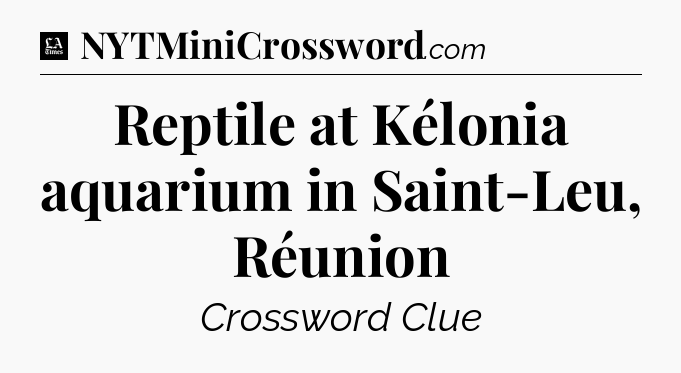 Reptile at Kélonia aquarium in Saint-Leu, Réunion - LA Times Crossword