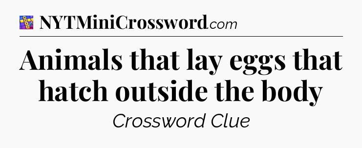Animals that lay eggs that hatch outside the body Codycross