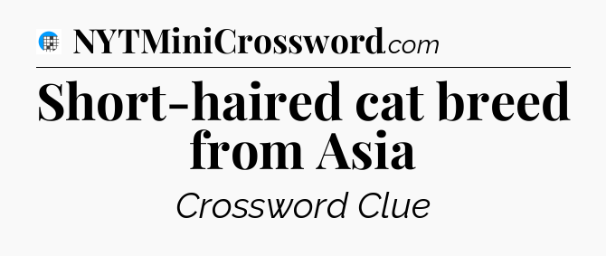 Short-haired cat breed from Asia Crossword Clue