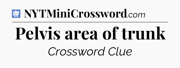 Pelvis area of trunk Puzzle Page Crossword Clue