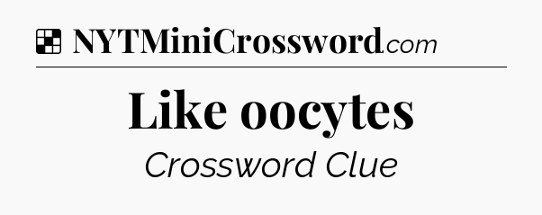Solution: Like oocytes - NYT Crossword