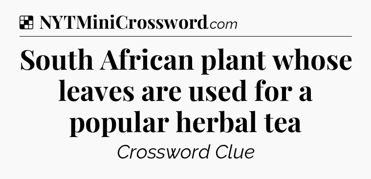 Solution: South African plant whose leaves are used for a popular herbal tea - NYT Crossword