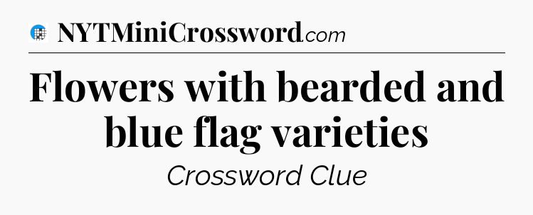 Flowers with bearded and blue flag varieties Crossword Clue