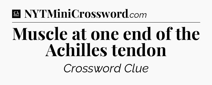 Muscle at one end of the Achilles tendon - LA Times Crossword