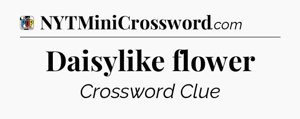 Daisylike flower Crossword Clue