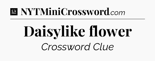 Daisylike flower - LA Times Crossword
