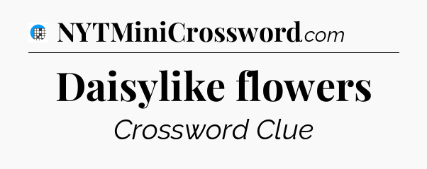 Daisylike flowers Crossword Clue