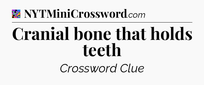 Cranial bone that holds teeth Crossword Clue