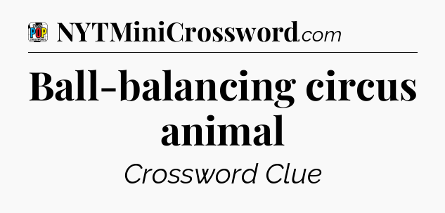 Ball-balancing circus animal Crossword Clue