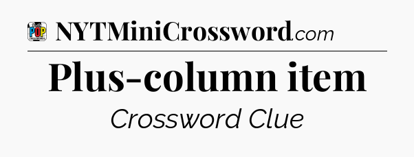 Plus-column item Crossword Clue