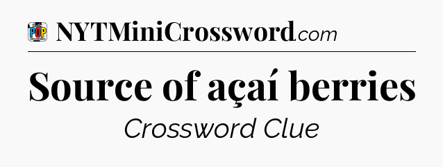 Source of açaí berries Crossword Clue