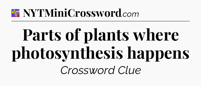 Parts of plants where photosynthesis happens Codycross