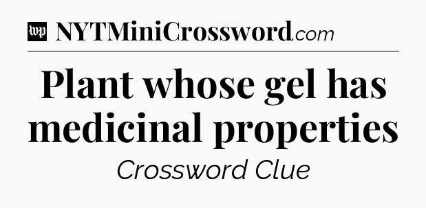 Plant whose gel has medicinal properties Crossword Clue