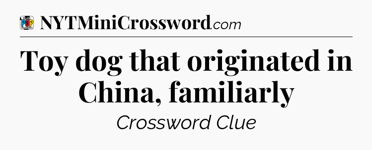 Toy dog that originated in China, familiarly Crossword Clue