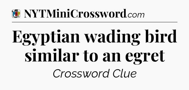 Egyptian wading bird similar to an egret Crossword Clue