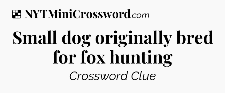 Solution: Small dog originally bred for fox hunting - NYT Crossword