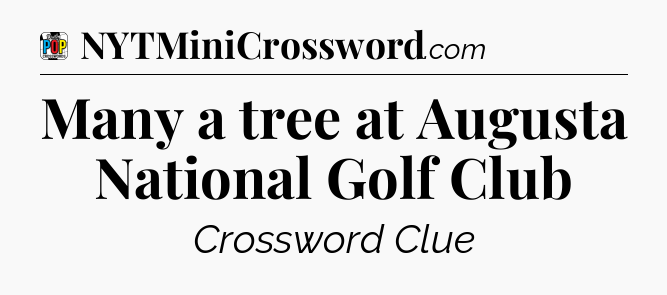 Many a tree at Augusta National Golf Club Crossword Clue