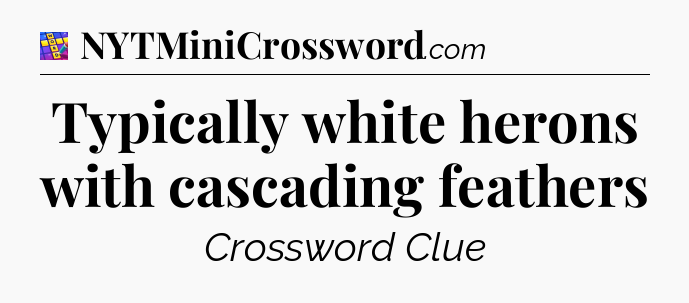 Typically white herons with cascading feathers Codycross