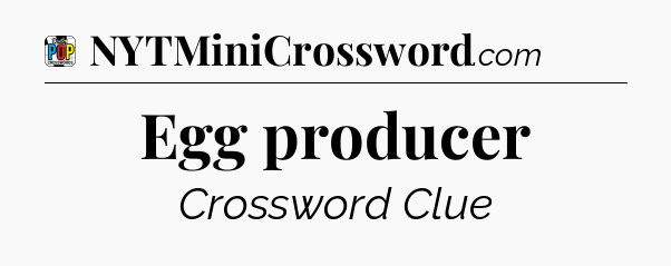 Egg producer Crossword Clue