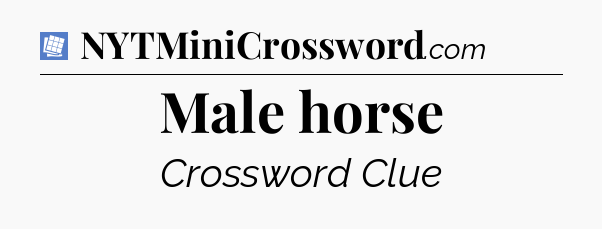 Male horse Puzzle Page Crossword Clue
