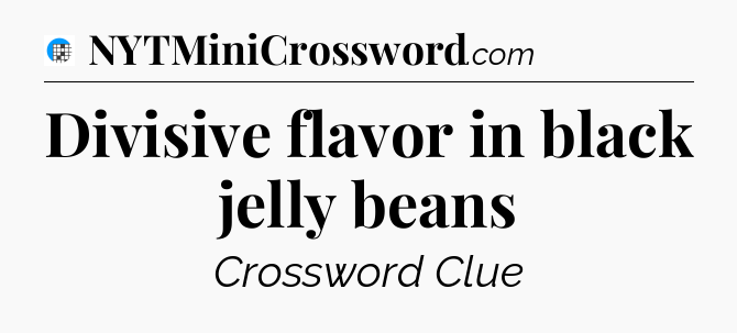 Divisive flavor in black jelly beans Crossword Clue