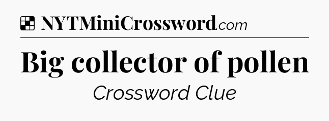 Solution: Big collector of pollen - NYT Crossword