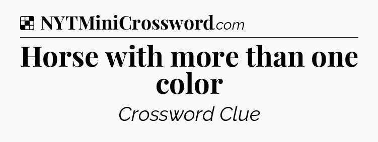Solution: Horse with more than one color - NYT Crossword