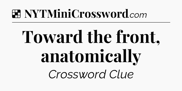 Solution: Toward the front, anatomically - NYT Crossword