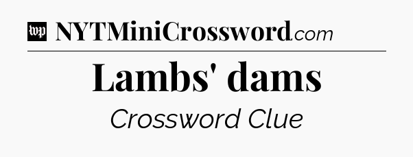 Lambs' dams Crossword Clue