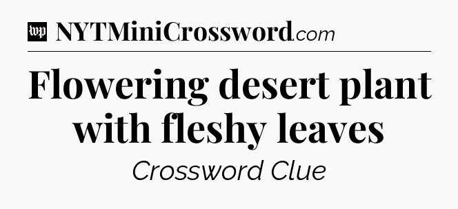 Flowering desert plant with fleshy leaves Crossword Clue