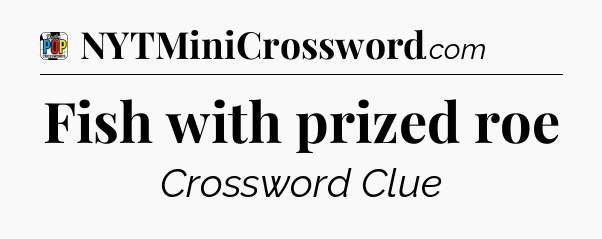 Fish with prized roe Crossword Clue