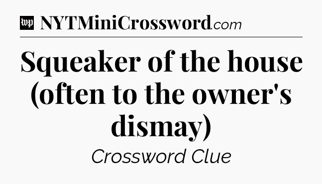 Squeaker of the house (often to the owner's dismay) Crossword Clue