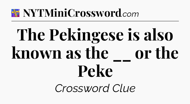 The Pekingese is also known as the __ or the Peke Codycross