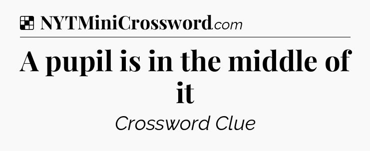 Solution: A pupil is in the middle of it - NYT Crossword