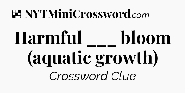 Solution: Harmful ___ bloom (aquatic growth) - NYT Crossword