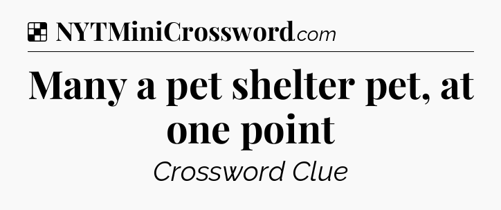 Solution: Many a pet shelter pet, at one point - NYT Crossword